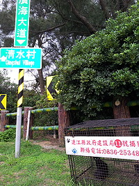 貓佔狗「巢」。(圖:本報編輯部)