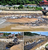清水濕地昨天上午發生嚴重污染意外,廠商施工不慎挖斷台電輸油管線造成重油外漏,縣府緊急通知岸巡大隊及軍方支援人力協助清理;後續處理得當,對於生態造成的影響還有待觀察。(圖/文:曹重偉)