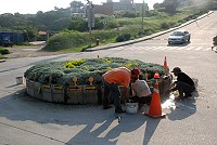 馬祖酒廠南竿廠區前圓環昨天上午被一台大型拖板車撞擊,肇事業者自首並自費修復圓環。(圖/文:邱竟瑋)