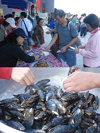 樂活馬祖─淡菜示範推廣計畫昨天舉行主廚饗宴,數千斤淡菜化身多樣料理,而清蒸原味淡菜亦受顧客歡迎。(圖/文:邱竟瑋)