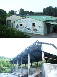 　馬祖酒廠積極穩定釀酒品質並提升產能，正尋求新的倉儲地點。縣府研議將建設局有機堆肥場及流浪犬中心提供給馬酒使用，結合中隴糧倉，以提供馬酒擴充產能所需的倉儲空間。（圖／文：邱竟瑋）