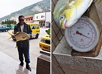 北竿釣友釣獲一尾重達六斤半的罕見大金鯧。(圖:釣友提供)