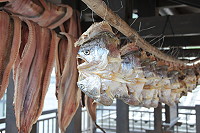 　秋冬季適合曬魚干，橋仔漁民現晒現賣。（圖／文：陳鵬雄）