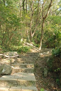 勝天公園步道沿路可享森林浴,是馬祖健走達人所推薦的步道之一,縣府將於沿線進行環境整理及景觀改善。(圖/文:邱竟瑋)