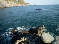 　漁船沿近岸作業，容易對岩礁底棲生態帶來嚴重傷害。（圖／文：陳其敏）