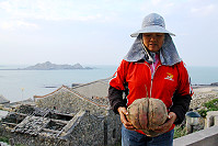 巨無霸地瓜　圖：曹以鋒提供
