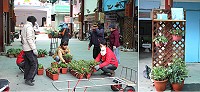 東莒文協利用綠色植物及藝術品妝點藝文廣場及美化大坪村內。(圖/文:林冰芳)