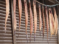 　寒流擋不住，換來魚乾好滋味。（圖／文：陳其敏）