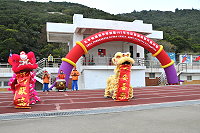 　全村一起來熱鬧！（圖與文：張登傑、陳樂團）