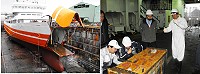縣長楊綏生昨在交通局長劉潤南及連江航業董事長歐陽台生的陪同下,前往基隆登船視察臺馬輪此次歲修執行情形,並慰勞工作人員的辛勞。(圖:連江縣政府提供)