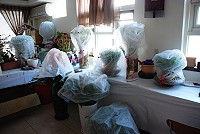 　盆栽冬裝造型。（圖／文：劉秋月）