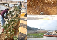 滴水不浪費!縣府建設局辦理清水濕地活化利用工程,以清水村污水處理場的回收水來進行灌溉,以種植馬祖原生植物。(圖/文:邱竟瑋)