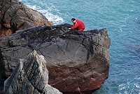 　東引海岸岩礁，長著黑鴉鴉一片紫菜，吸引著行家來採摘。（圖／文：陳其敏）