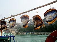 　非賣品。（圖／文：陳其敏）