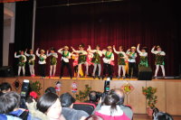 八家好手齊獻藝、軍民聯歡迎蛇年。（圖：曹重偉）