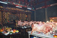 　南竿珠螺玄天上帝廟今年還願民眾倍增，打破前年7豬1羊的紀錄，今年出現13頭豬的盛況，讓別村的人都嘖嘖稱奇，還特地前來一睹這番特殊景象。（圖／文：劉秋月）