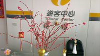 　蠟燭桃花。（ 圖：摘自陳明生臉書／文：陳鵬雄）