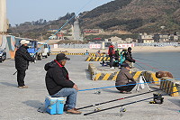 　今年228假期雖然沒有4天連假，但是還是有不少釣客衝著「黃姑魚」特地來東莒試試身手。（圖／文：林冰芳）