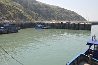 　白沙內港船渠西側即將展開浮動碼頭建設工程，施工單位請船主配合移泊。（圖／文：陳鵬雄） 