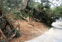 　環山路日前有民眾檢舉，道路旁的樹木遭人砍伐，並挖出一塊空地，建設局表示將儘速派員瞭解，是否違反花草樹木管理自治條例規定，亦請民眾不要隨意砍伐地區草木。（圖／文：劉秋月）