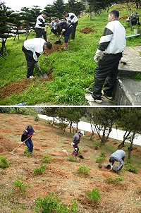 植樹季節到,東引軍民攜手展開造林綠化行動。(圖/文:陳其敏)