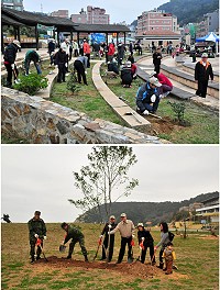 　縣府「綠意樂活、森植馬祖」植樹節活動活力登場，包括縣長楊綏生、指揮官任季男、副縣長陳敬忠及多位縣府單位主官管都前往參加，共同種下未來的綠意與希望。（圖／文：曹重偉）