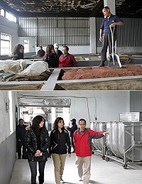 因應民間業者所反映馬酒市場缺貨問題,議員林惠萍、曹丞君專程前往馬祖酒廠聽取董事長葉金旺說明缺酒原因,並前往製酒廠區了解相關設施及產酒過程。(圖:連江縣議會提供)