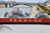 　清水濕地景觀公園傳出公共設施遭破壞事件！意象平台上左邊招潮蟹一隻眼睛被不明人士硬生生折斷，建設局表示，儘快在月內完成修復，也提醒前往休憩的遊客鄉親拿出公德心，不要破壞公物，若發現肇事者將依法求償。（圖／文：曹重偉）