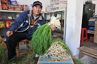 　北竿麥蔥達人王詩德每天都有數十斤的收穫，對麥蔥地形的了解無人出其右。（圖／文：陳鵬雄）