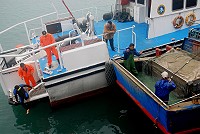 　東引鄉光華號51523漁船絞纜，海巡人員下水協助割除。（圖／文：陳其敏）