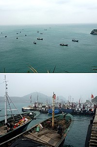 躲避風變,東、西引島灣澳迎來30餘艘大陸鐵殼漁船,其中8艘駛入中柱港停泊。(圖/文:陳其敏)