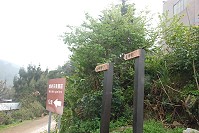 有民眾於本報「馬上處理」專欄指出,媽祖宗教園區路牌指示不清,對馬祖不熟悉的旅客恐不知所云;另外因應馬祖外籍旅客增多,建議有關單位加上英文標示。縣府及馬管處將協調並檢討改善。(圖/文:邱竟瑋)