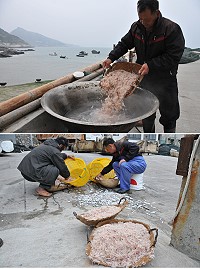 橋仔蝦皮產業再現,現撈現煮海味十足。(圖/文:陳鵬雄)