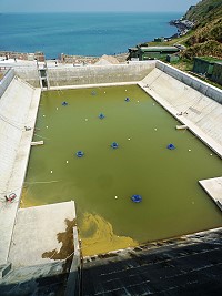 　東湧水庫下方加高的溢流池，因為有漏水問題，還不能立即發揮功效。（圖／文：陳其敏）