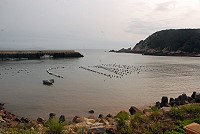 於介壽澳口掛養海產的情形,縣府已透過區漁會進行勸說,以不影響航安為原則。(圖/文:邱竟瑋)