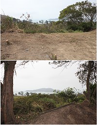 大坪村往大浦路旁清潔人員意外發現隱藏在芒草堆中可以眺望遠景的角落並用心清理出來。(圖/文:林冰芳)