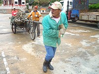 　東引地區外籍漁工，出現印尼籍面孔，在近岸從事相關工作。（圖／文：陳其敏）