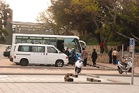 今春回暖來馬遊客量復甦,穿梭地區各景點。(圖/文:邱竟瑋)