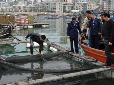 大陸農業部16日聯合大陸福建省展開大黃魚苗種品質安全監督。(圖:大陸連江縣水技站)