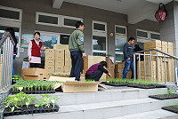　建設局在二月份開放登記多項蔬果種苗，昨天多達三萬四千多株的種苗運抵馬祖，南竿地區登記農民請儘速前往建設局領取。（圖／文：劉秋月）
