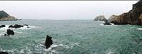 到東引繁衍的黑尾鷗族群,初期以老鼠沙、雙子礁為主要活動海域。(圖/文:陳其敏)