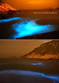 　9日晚間藍眼淚在東莒再度爆量現身，攝影好手在大浦港捕捉夢幻美景。（圖：林建良、林文福提供）