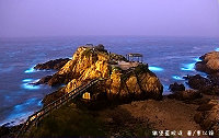 全村一起來熱鬧!(圖與文:張登傑、陳樂團)