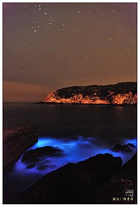 全村一起來熱鬧!(圖與文:張登傑、陳樂團)