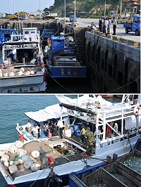 兩艘漁船佔據白沙客船船席,乘客跨船上下船險象環生。(圖/文:陳鵬雄)