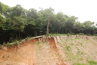 介於南竿珠螺與后澳水庫之間一處海線公路山壁疑似因5月下旬大雨擴大崩坍,上方大樹岌岌可危,縣府已聯繫廠商設法改善。(圖/文:邱竟瑋)
