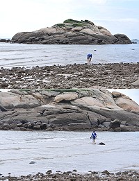 　超級大退潮　涉水上龜島。（圖與文：陳鵬雄）