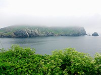 　北疆海濱一隅。（圖與文：陳其敏） 