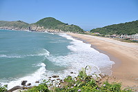 長浪　圖與文：陳鵬雄