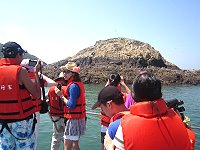 全村一起來熱鬧!(圖與文:張登傑、陳樂團)